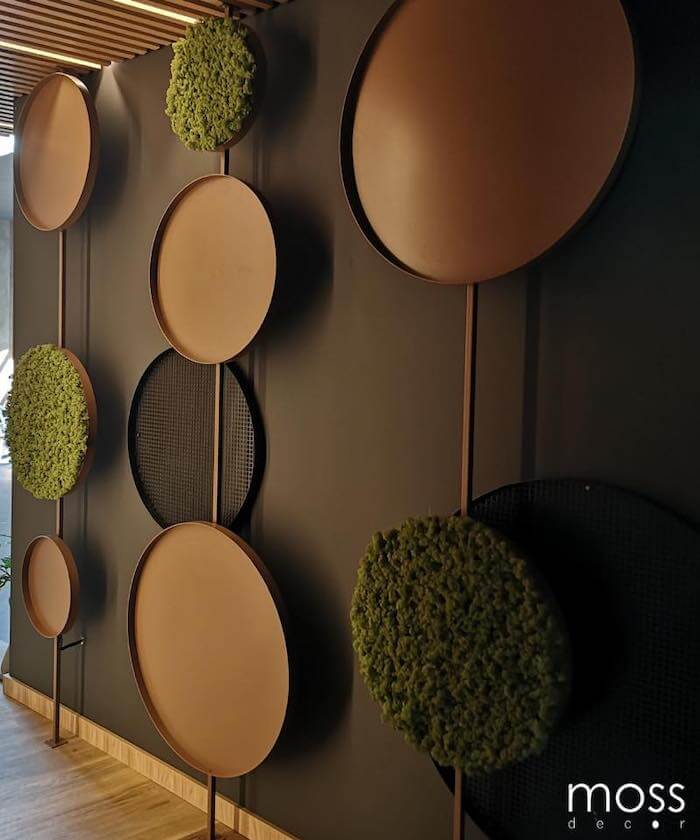 przestrzenne dekoracje z mchu przy ścianie dekoracje z mchu na okręgach