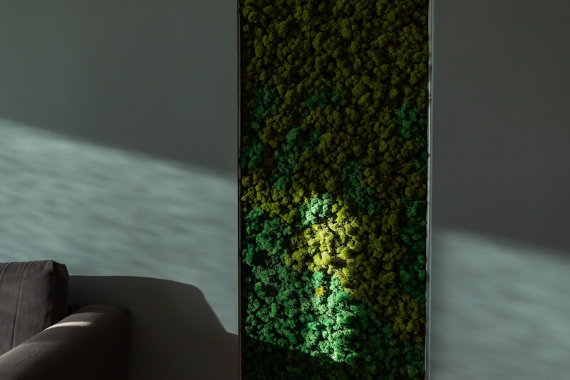 dekoracje z mchu jako panel ścienny dekoracje z mchu we wnęce ciemnej ściany