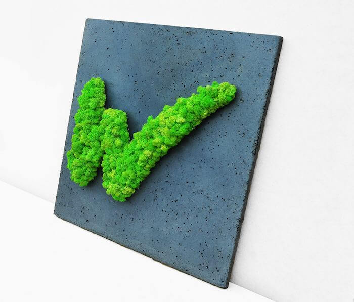 literka W z mchu chrobotka literka z mchu chrobotka