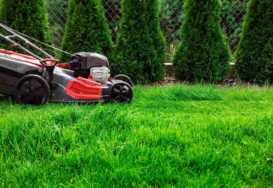 Ranking kosiarek spalinowych - najlepsze 5 modeli