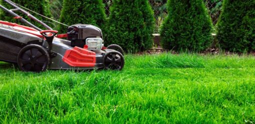Ranking kosiarek spalinowych - najlepsze 5 modeli