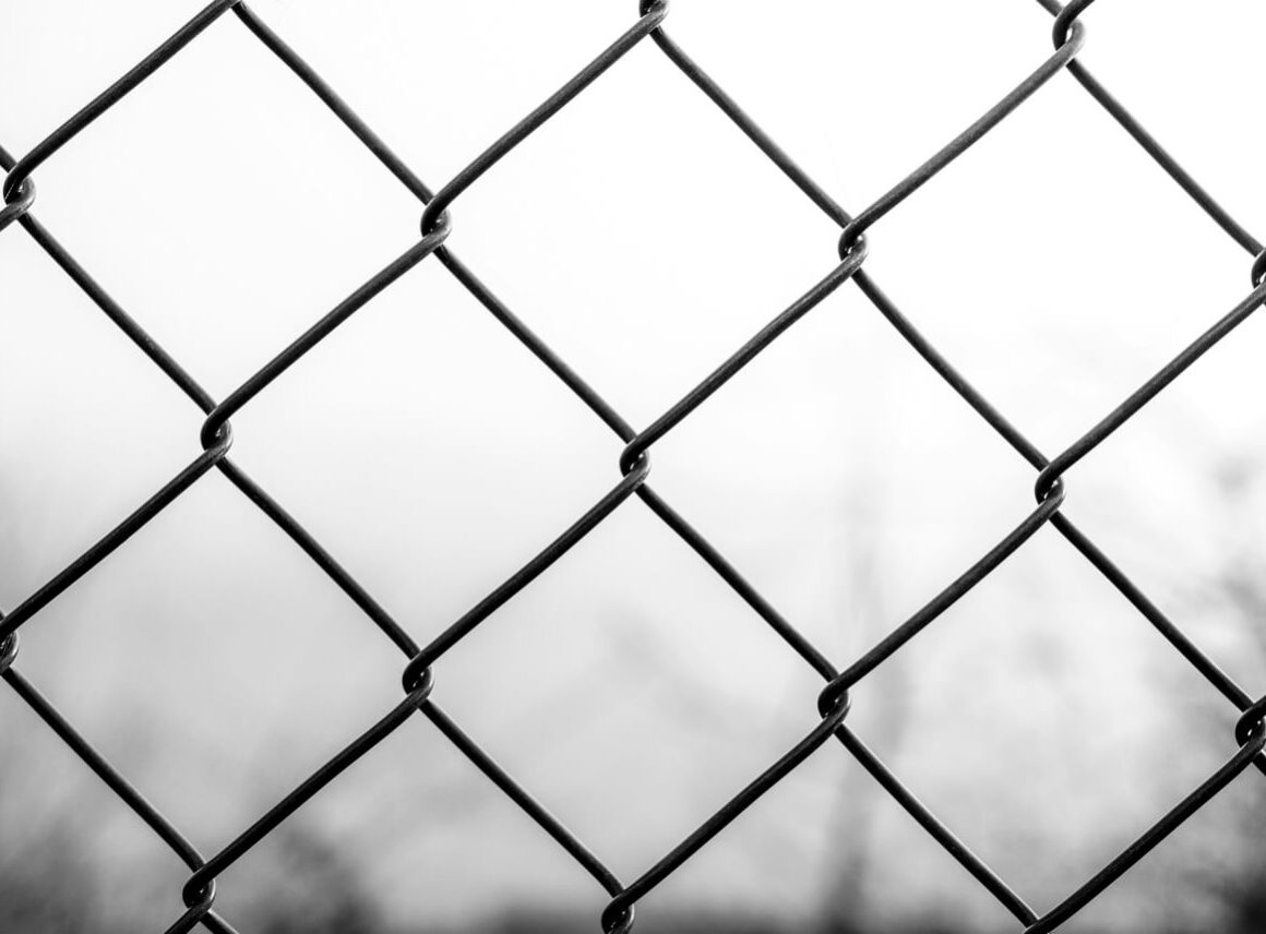 jak zrobić ogrodzenie z siatki krok po kroku