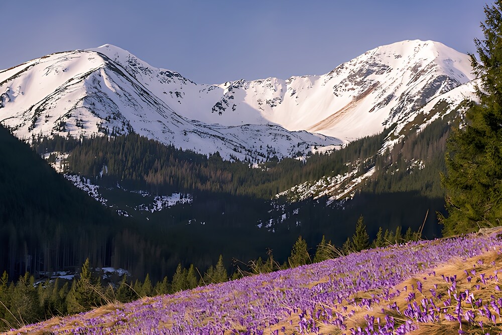 Szlaki turystyczne Tatry z panoramą Doliny Chochołowskiej 