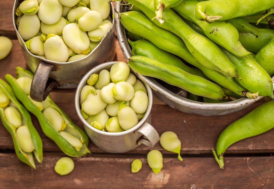 Bób przepisy na świeże nasiona