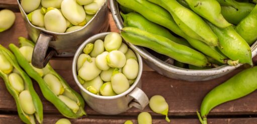 Bób przepisy na świeże nasiona