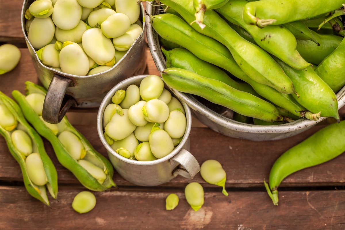 Bób przepisy na świeże nasiona