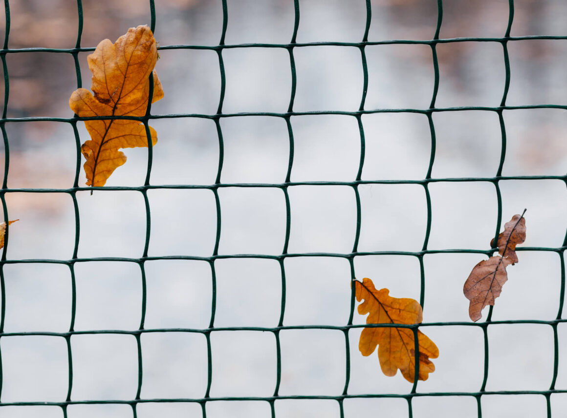 Ile kosztuje siatka ogrodzeniowa? Poradnik