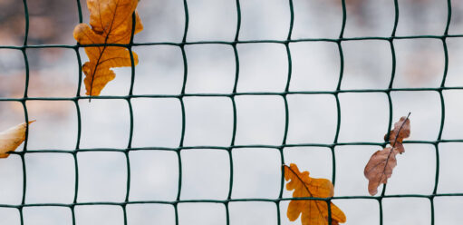 Ile kosztuje siatka ogrodzeniowa? Poradnik