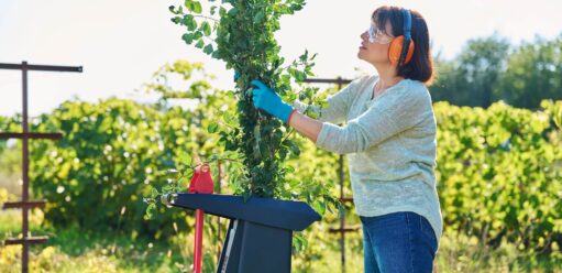 Jaki rozdrabniacz do gałęzi? Porady i wskazówki