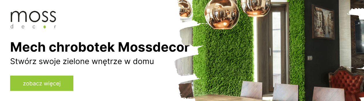 Mech chrobotek, mech na ściany Mossdecor