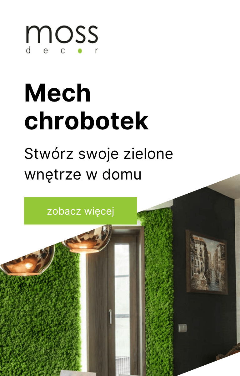 Mech chrobotek, mech na ściany Mossdecor