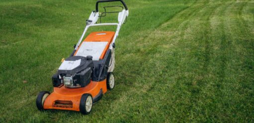 Jaka kosiarka najlepsza do ogrodu? Poradnik