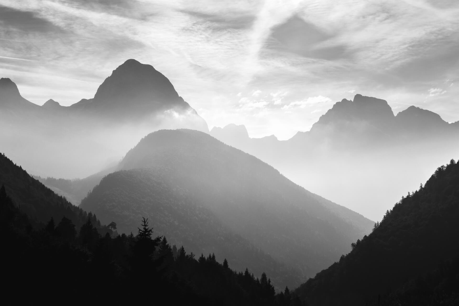 monochromatyczny na przykładzie fotografii